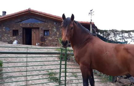 Finca rural House Tenerife Relax And Enjoy - Foto 65