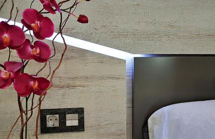 Salamanca Frog - Foto 20