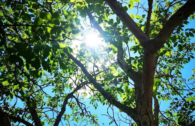 Holiday Home Jaga - Foto 28