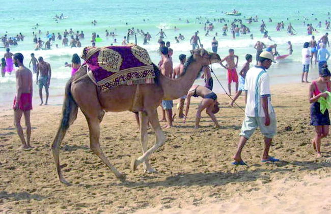 Résidence De l'Atlantique - Foto 37