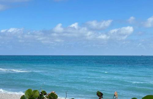 Cozy studio in Hollywood, FL - Foto 19