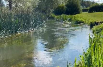 Pretty Cotswold Cottage with garden near Bibury - Foto 48