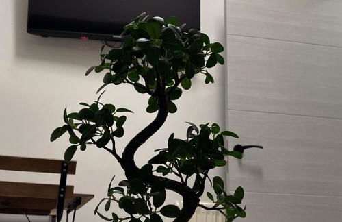 Apartamento calera - Foto 40