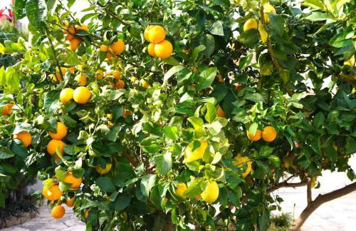 Cozy bungalow in Calpe - Foto 23