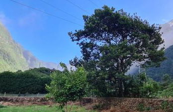 Mountain View Cottage - Foto 38