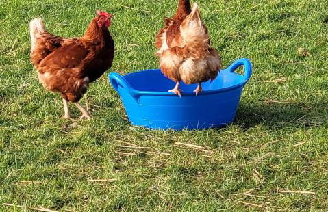 Cater Tober Haven - Photo 20