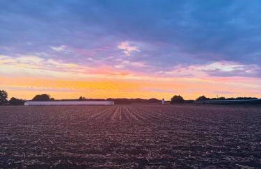 Q80 Appartement - Foto 40