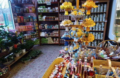 Sterne-Anlage HOF NIEMEYER Steinhuder Meer - Foto 44