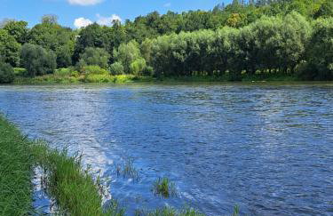 Wielgosówka - Foto 33