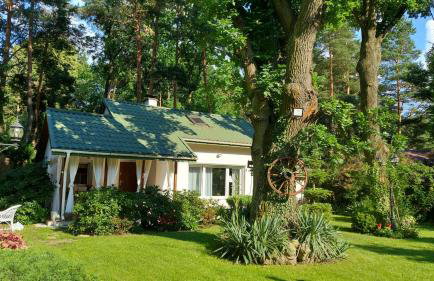 Fort Janowek - Foto 48