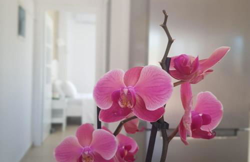 Katy's Luxury Apartments - Photo 26