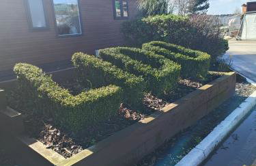 Ollys House - Photo 20