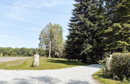 Le Val Suzenay - Foto 3