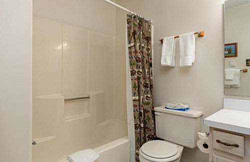 Nancy's Edelweiss with Wintergreen Advantage - Foto 31