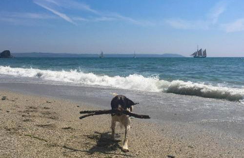 Robin Hill - Foto 42