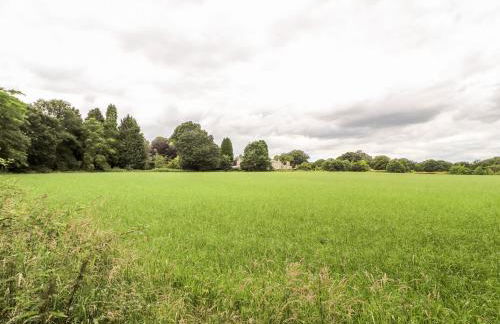 Cook's Flat - Foto 29