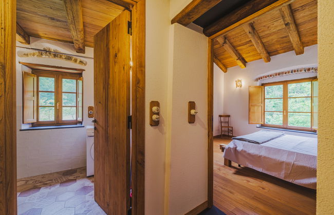 Vermentino - Foto 18