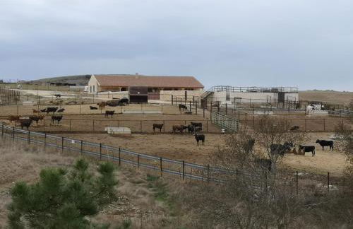 el rincon de la higuera - Foto 19