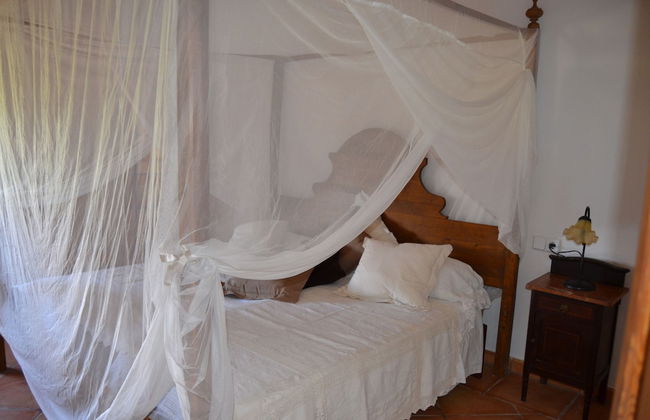 Son Sant Andreu - Foto 6