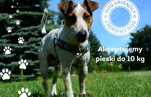 Uroczysko Lubiaszów - Foto 68