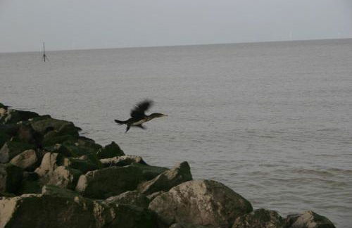 Beach Links - Foto 25