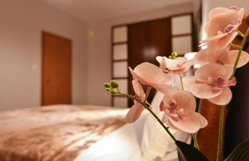 Kostaras Comfort Stay - Foto 9