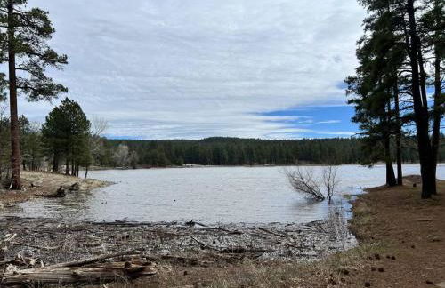 The Bluejay Cabin at Munds Park, AZ! - Foto 21