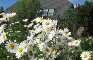 Ferienwohnungen "Christelhof" - Foto 11