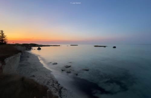 Masseria Bosco Mazza - Foto 63