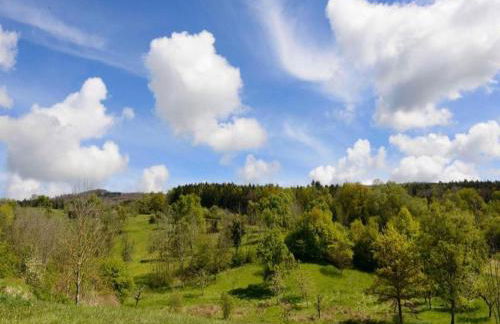 Ferienhaus in Markdorf mit Pool - Foto 36