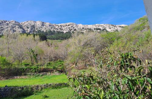 Apartman Put - Photo 47