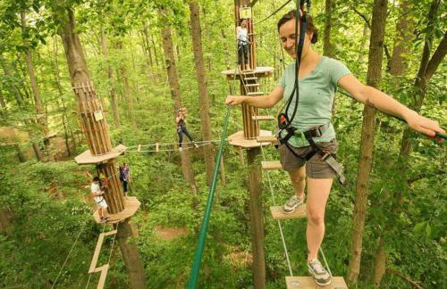 The Chaff House Country Cottage - Foto 44