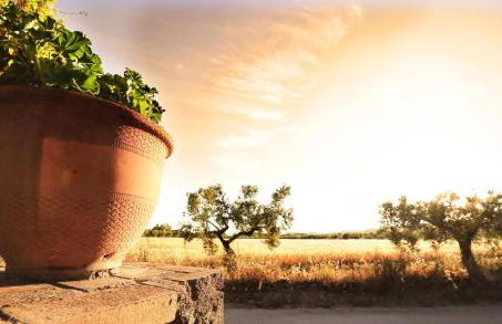 Casa Rural Els Pins - Foto 14