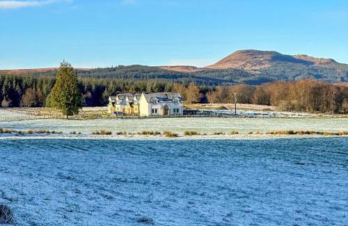 Fiadh Ruadh-Uk40008 - Foto 29