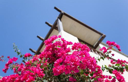 Ionia Studios - Foto 33