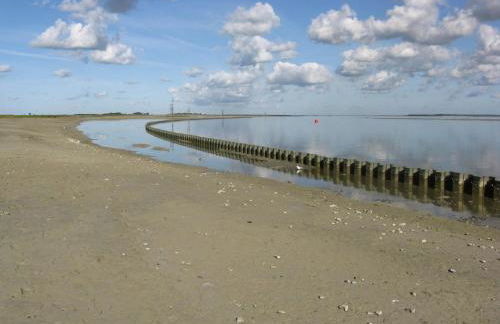 Gites aux oiseaux - Foto 26