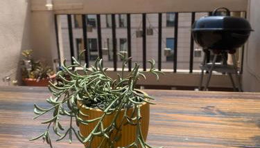 Ático en el centro con terraza - Photo 3