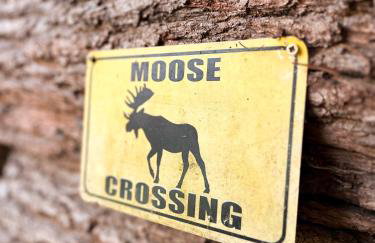 La Cabane des Trappeurs - Foto 19