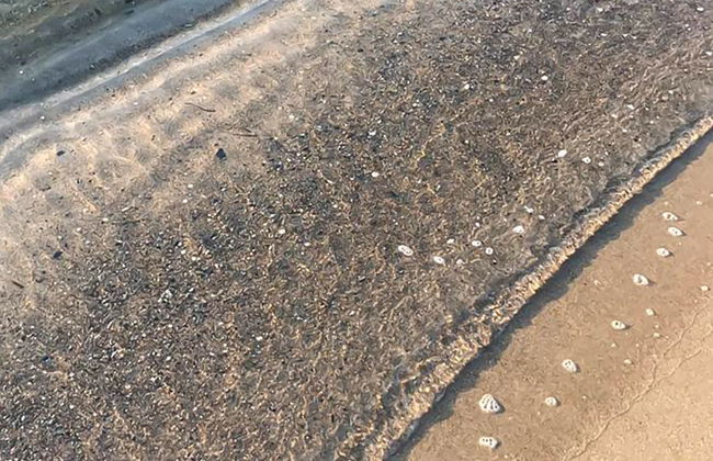 "Stacie" - 10m from the sea - Foto 7