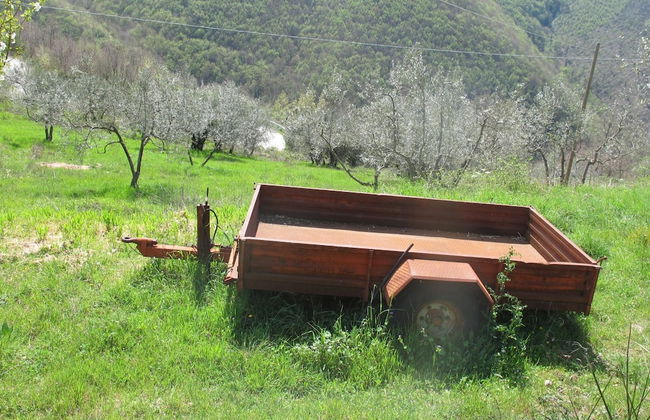 RSH Luxury Casale Sabina Valley - Foto 22