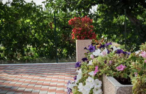 Il Rifugio di San Francesco - Photo 14