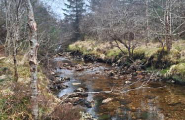 Twin Deer Lodge - Foto 44