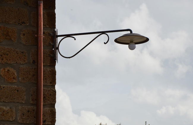 Fattoria Lucciano - Foto 59