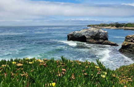 Seabright Breeze - Foto 30