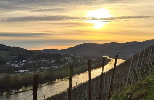 Sonnenlay Lounge - Studio & Ferienhaus - Foto 34