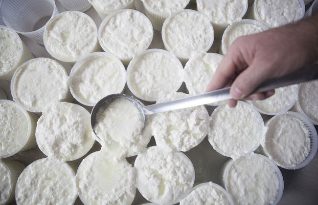 Fattoria Manostalla Villa Chiarelli - Foto 33