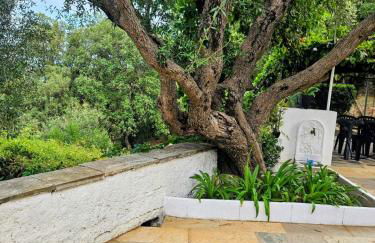 Cap Corse une villa dans un nid de verdure - Foto 15