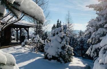 U Wrót Bieszczad - Foto 15