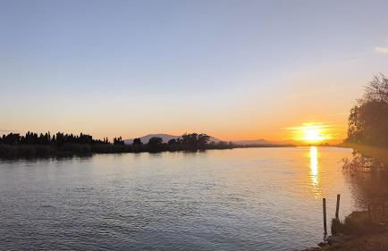 La Barcassa de Deltebre - Foto 35