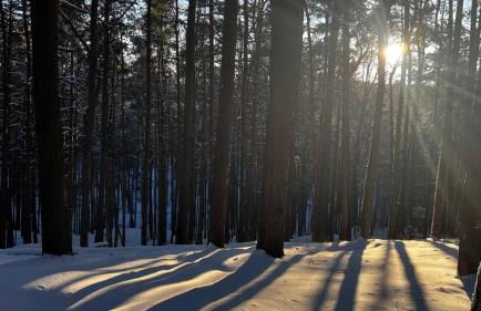 Relax Hütten & Spa Gröden - Foto 16